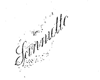 SANMETTO logo