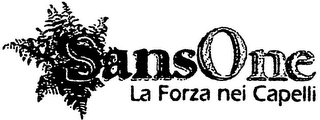 SANSONE LA FORZA NEI CAPELLI logo