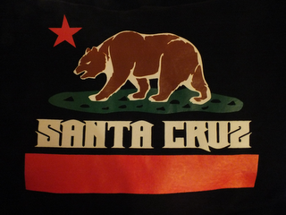 SANTA CRUZ logo