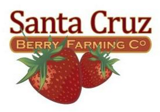 SANTA CRUZ BERRY FARMING CO logo