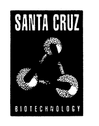 SANTA CRUZ BIOTECHNOLOGY logo