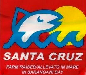 SANTA CRUZ FARM RAISED ALLEVATO IN MARE IN SARANGANI BAY logo