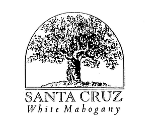 SANTA CRUZ WHITE MAHOGANY logo