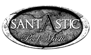 SANTASTIC POOL MASTIC logo