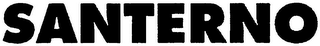SANTERNO logo