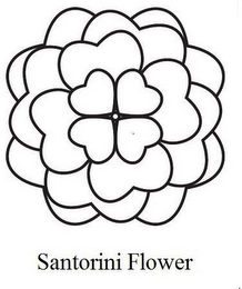 SANTORINI FLOWER logo