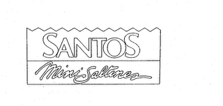 SANTOS MINI SALTINES logo