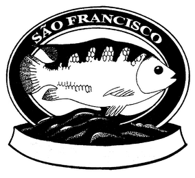 SAO FRANCISCO logo