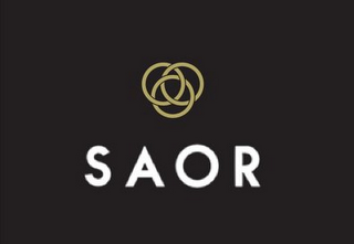 SAOR logo