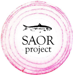 SAOR PROJECT logo