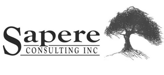 SAPERE CONSULTING INC logo