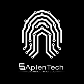 SAPLENTECH CONSULTING LLC logo