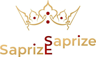 SAPRIZE SAPRIZE logo