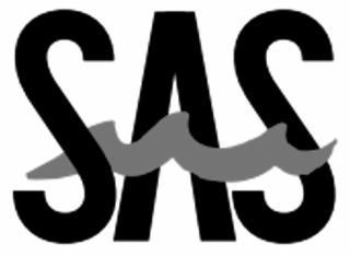 SAS logo