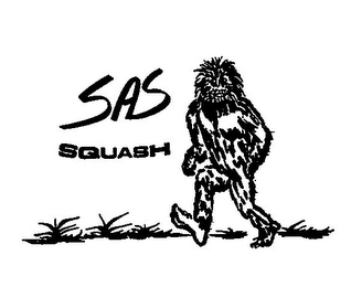 SAS SQUASH logo