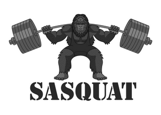 SASQUAT logo