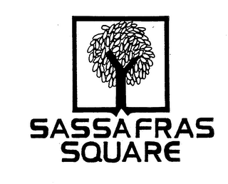 SASSAFRAS SQUARE logo