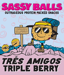SASSY BALLS OUTRAGEOUS PROTEIN PACKED SNACKS TRÉS AMIGOS TRIPLE BERRY SASSY SUMMIT logo