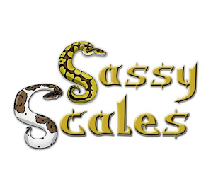 SASSY SCALES logo