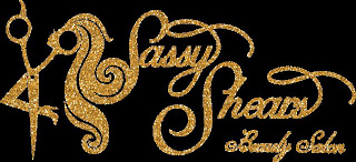 SASSY SHEARS BEAUTY SALON logo