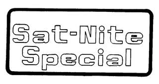 SAT-NITE SPECIAL logo