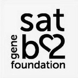 SATB2 GENE FOUNDATION logo