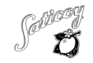 SATICOY logo