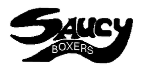 SAUCY BOXERS logo