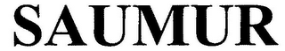 SAUMUR logo
