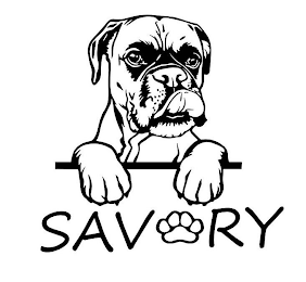 SAV RY logo