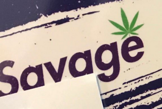 SAVAGE logo