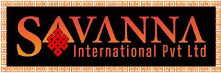 SAVANNA INTERNATIONAL PVT LTD logo