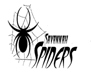 SAVANNAH SPIDERS logo