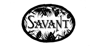 SAVANT logo
