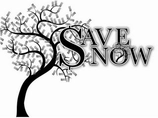 SAVE NOW logo