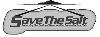SAVE THE SALT PRESERVING OUR NATIONAL TREASURE-THE BONNEVILLE SALT FLATS logo