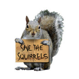 SAVE THE SQUIRRELS logo