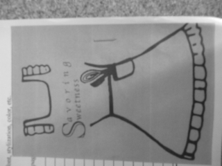 SAVORING SWEETNESS logo