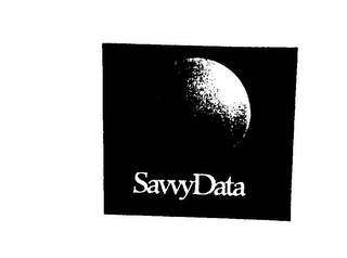 SAVVY DATA logo