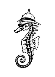 SAVVY SAILOR logo
