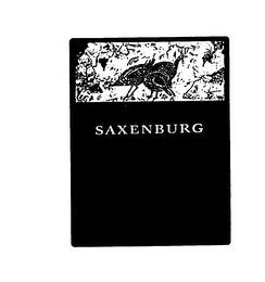 SAXENBURG logo