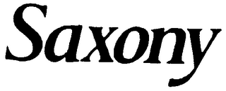 SAXONY logo