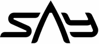 SAY logo