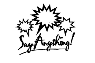 SAY ANYTHING! logo