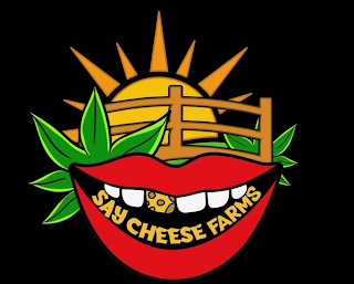 SAY CHEESE FARMS logo