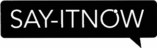 SAY-ITNOW logo