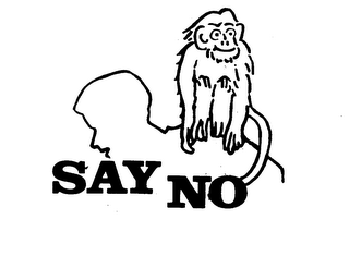 SAY NO logo