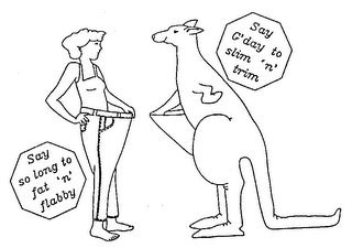 SAY SO LONG TO FAT 'N' FLABBY SAY G'DAY TO SLIM 'N' TRIM logo