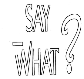 SAY WHAT? logo