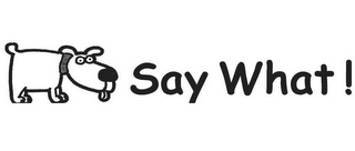 SAY WHAT ! logo